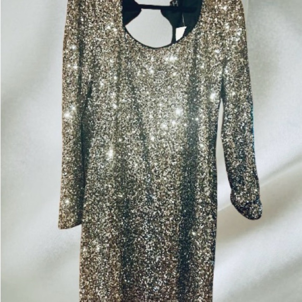 Sparkling Silver Sequin Dress